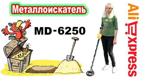 Описание металлоискателя MD 6250