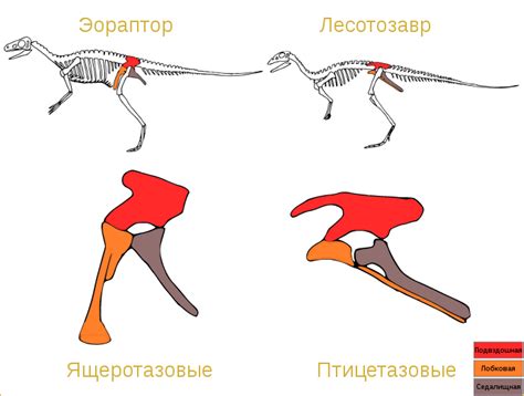 Эволюционные шедевры